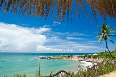 Imagem: Capturar-03.PNG